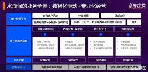 数智化驱动+专业化经营 科技中介服务的新路径
