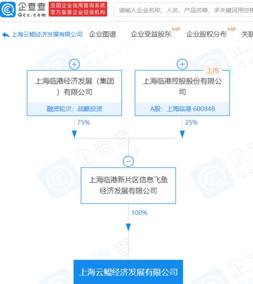 上海临港控股成立注册资本9.8亿科技中介服务新公司，赋能区域经济发展新动能