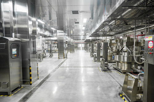 简阳港华蜀都舱食品科技燃气工程竣工通气 科技中介服务赋能产业升级